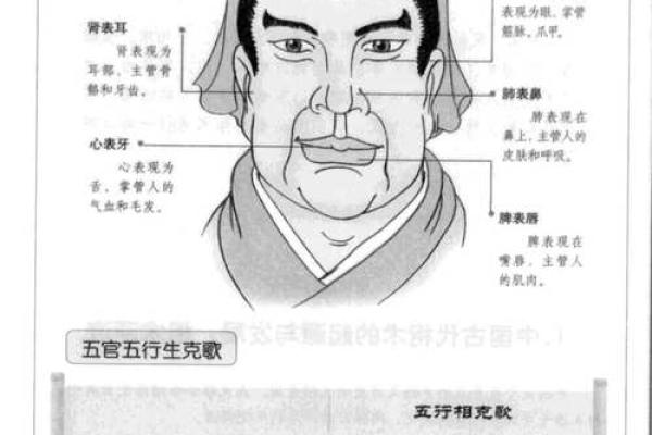 面相纹路揭秘：解读眼部奥秘，洞悉命运走向
