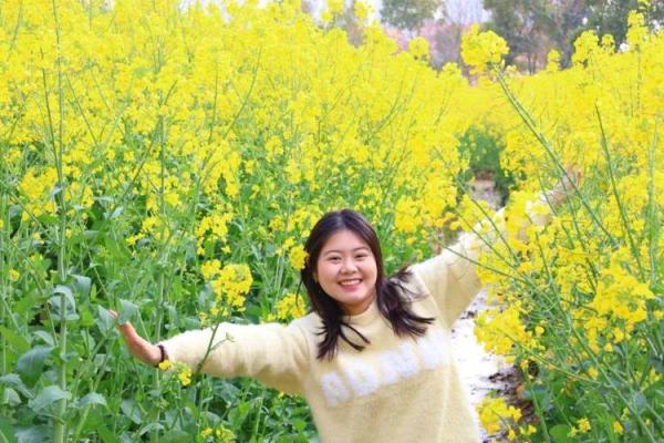 面如春花富贵相