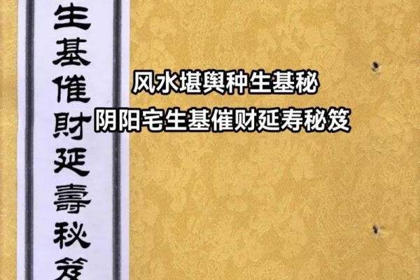 揭秘风水秘籍：阴阳宅的神奇力量与布局技巧