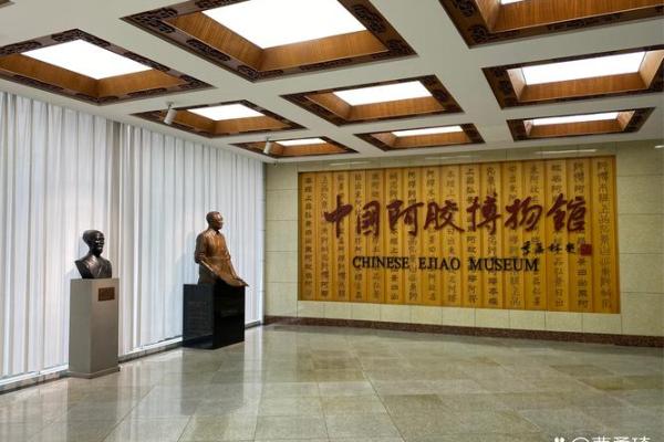 深耕传统文化：文化会馆命名的意义与探索