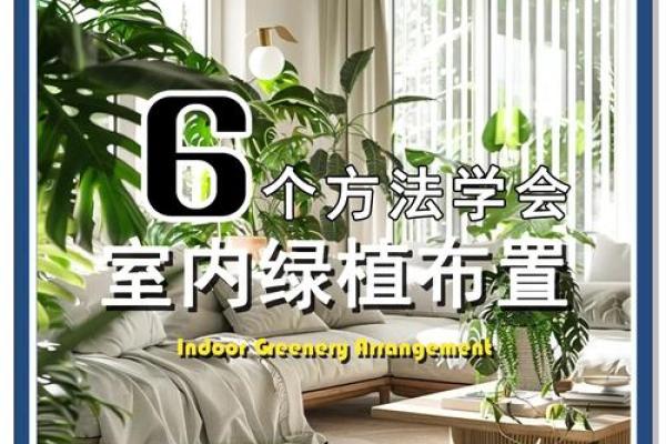 一学就会！家居风水理气技巧，让你的家焕发生机