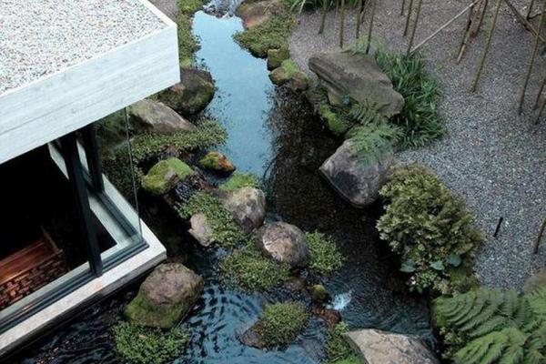 揭秘风水大师亲授：小鱼池风水布局，财运亨通的秘密图片大公开