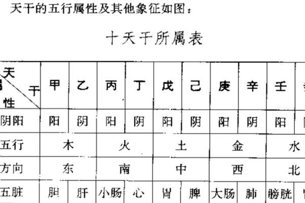 探索敏五行在生活中的影响