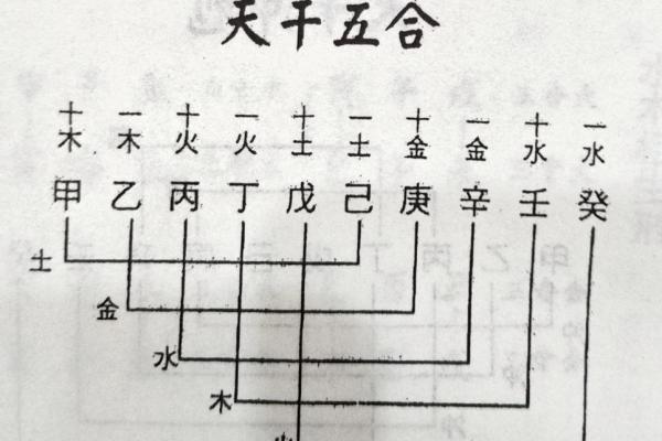 己的五行解析与应用