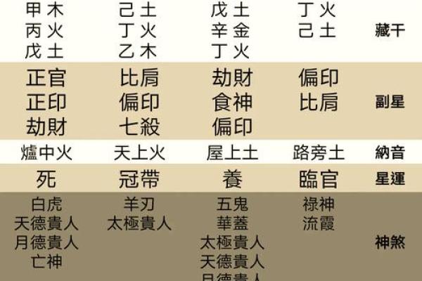 己的五行解析与应用