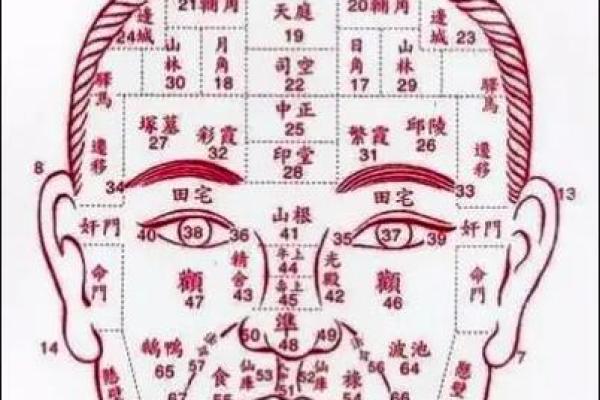 痣相揭秘：古代神秘面相图谱大公开