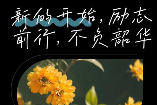 启程人生，迈向新未来