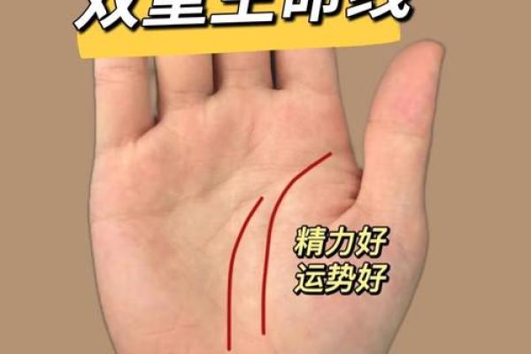 手相探秘：揭秘你的运势轨迹
