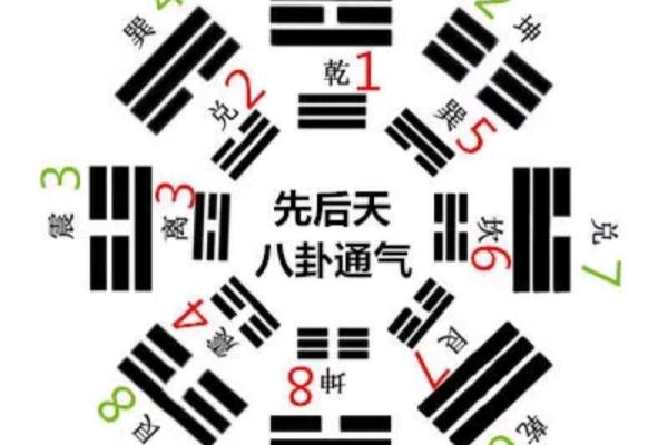风水学理论与实践的深度剖析