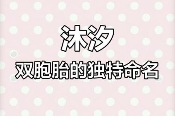 命理大师解密：双胞胎的出生有何奥秘？