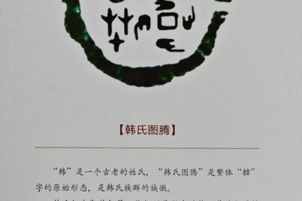 韩姓的五行分析与命理学探讨