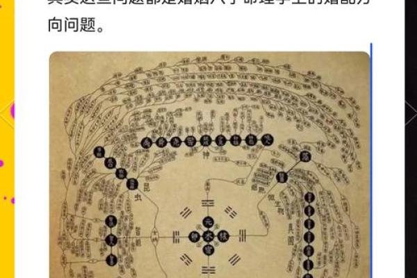 免费解密生辰八字，探寻影响学历的命理因素