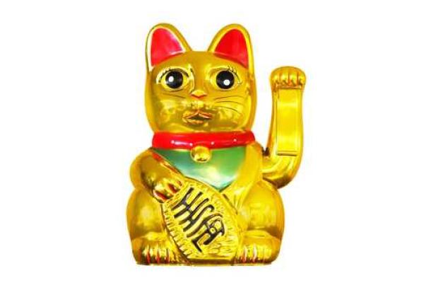 突破家居风水瓶颈：神奇布局图助你招财旺运
