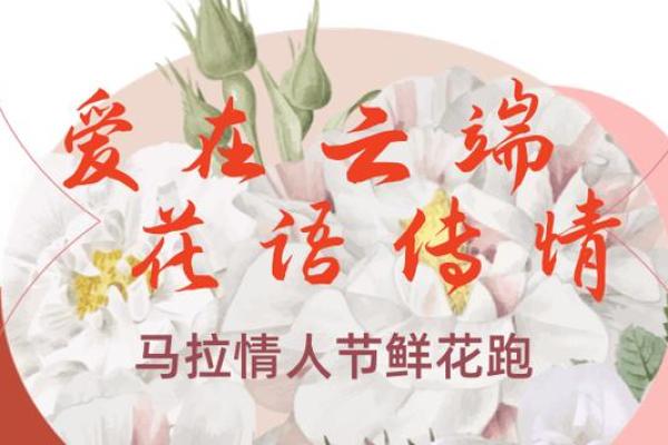 花语传情，名字如甿