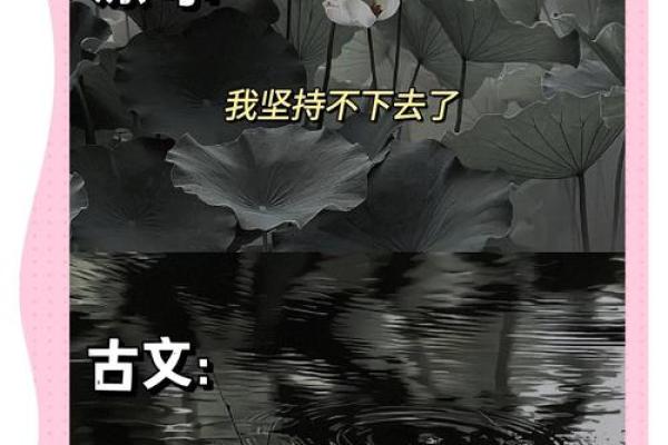 屈星辰:璀璨星辰,璀璨人生——揭秘星辰般姓名的运势魅力 屈星辰:璀璨星辰,璀璨人生——揭秘星辰般姓名的运势魅力