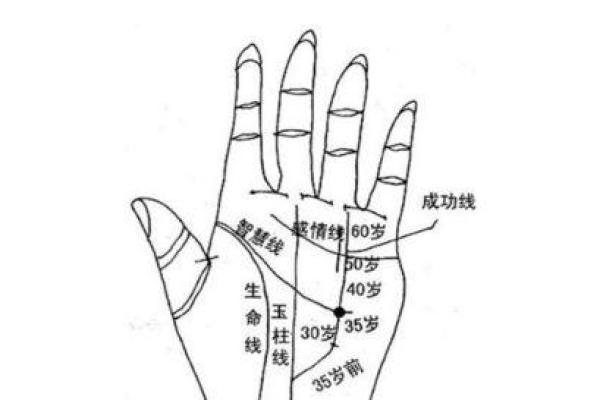 情感线长，命运美满：揭秘手相中的幸福密码