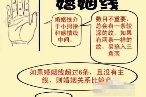 情感线长，命运美满：揭秘手相中的幸福密码