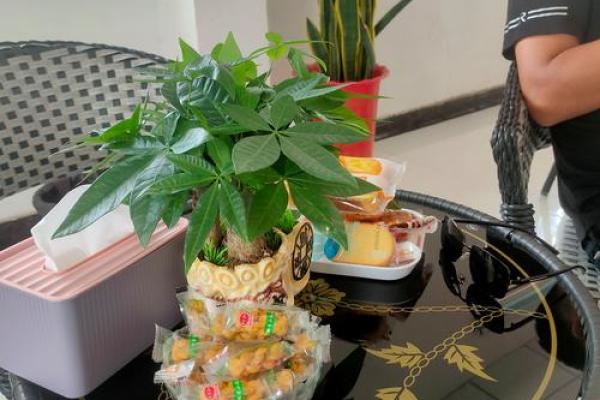 风水车露台摆设：招财进宝，家居风水新宠