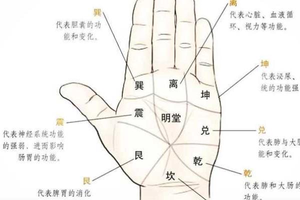 解锁男性魅力：手相揭秘，看手识人！