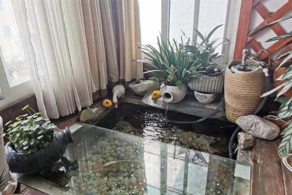 阳台庭院风水布局，财运亨通、健康长寿的秘籍