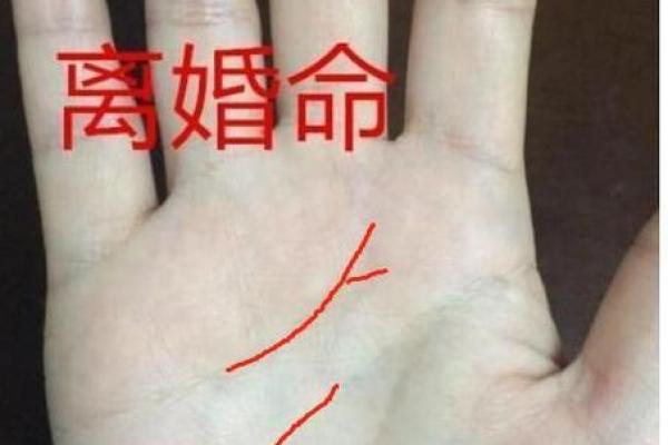 手相揭秘：从苦涩到甘甜，命运轨迹大揭秘