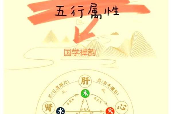 如何通过十二时辰与五行提升生活智慧