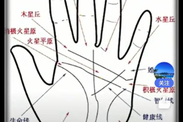 食指纹路揭秘：手相手纹中的运势指南
