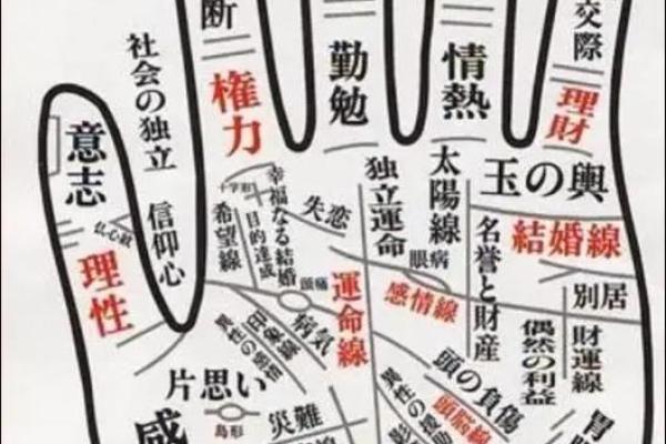 食指纹路揭秘：手相手纹中的运势指南