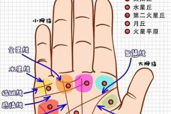 手部密码：掌握手相，解锁人生运势