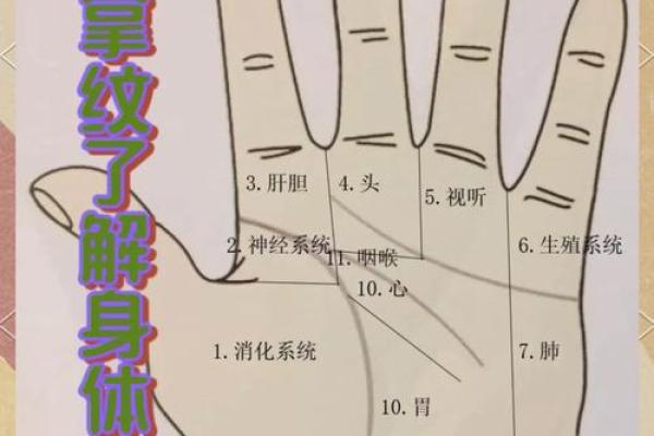 手部密码：掌握手相，解锁人生运势