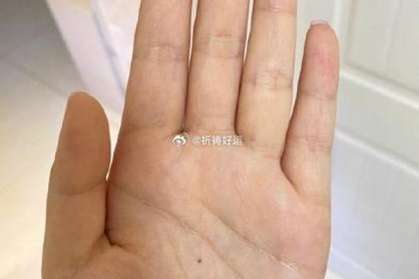 长情线手相，爱情运势大揭秘！