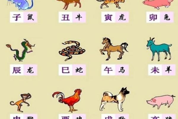 探索地支与生肖的深刻联系 探索地支与生肖的深刻联系