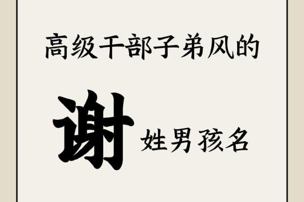 谢家鸡宝宝名字精选