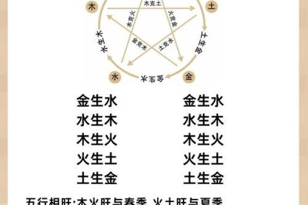 宾字五行分析与命理关系