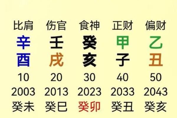 宾字五行分析与命理关系