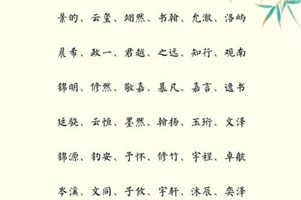 叶姿命名：探寻名字背后的文化内涵