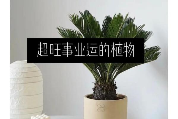 家居风水168：让您的生活更美好，财运、事业、健康三丰收！