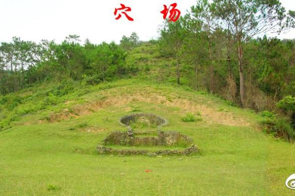 兄弟情深，风水布局：揭秘双宅共荣的秘密