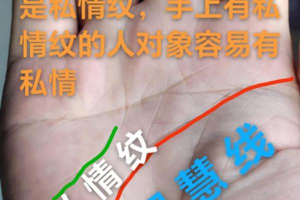男女手相奥秘大揭秘：揭秘左右手相的秘密差异