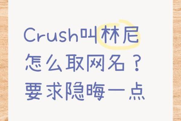 公司网络命名技巧与创意灵感大全