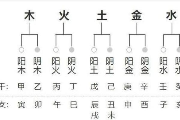 解读地支中子水的命理特征 解读地支中子水的命理特征