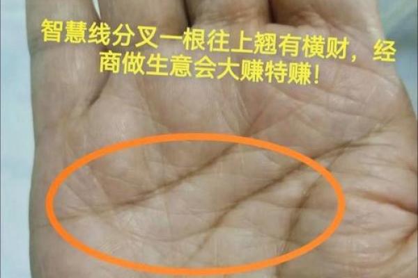手相中的秘密：川字纹普遍吗？揭秘真相！