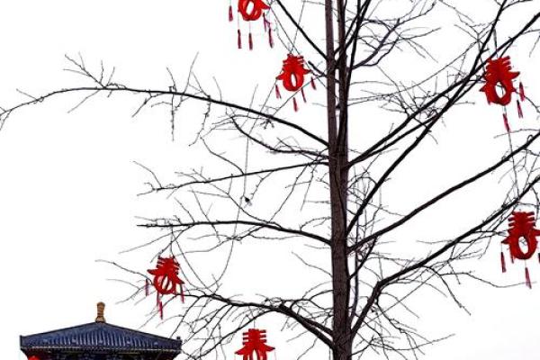 春风送暖二月二十，传统习俗共庆佳节
