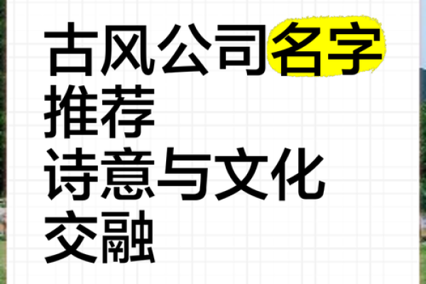 通过文物公司起名网为文化产业注入新活力