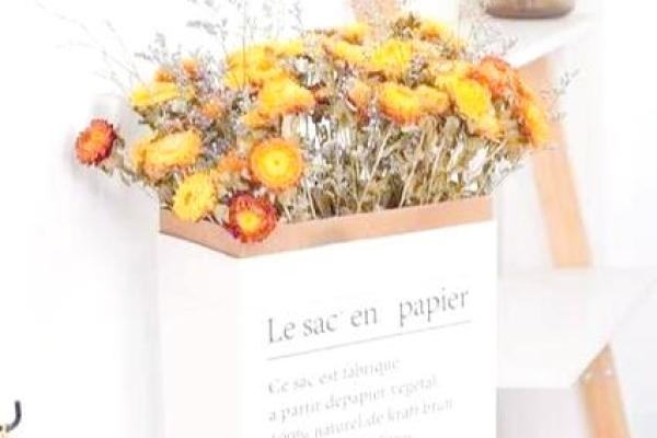 风水招财干花秘籍，轻松吸引财运滚滚来