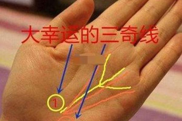掌中奥秘：揭秘古代手相全解秘籍