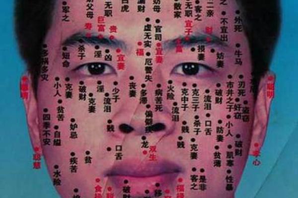 看脸识命运！男人面部吉痣相，揭秘财运亨通的秘密
