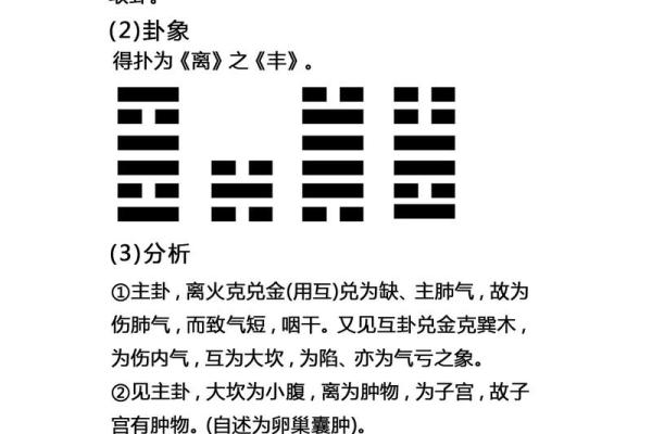 象数命理高手必读：实战精华全解析