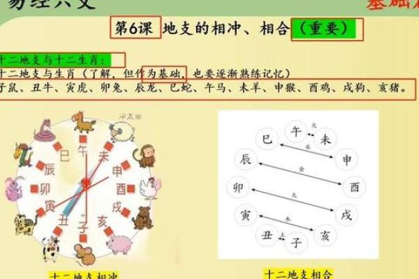 地支虎羊相合：如何化解五行冲突