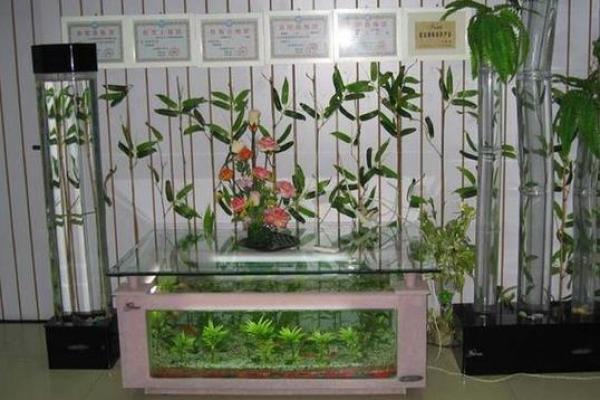 风水大师推荐：办公室鱼缸布局，提升工作效率！